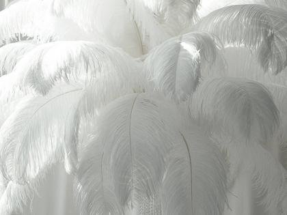 plumas de plumas de avestruz blancas Centros de mesa de fiesta de boda