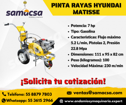 Pintarayas mod Matisse