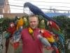 Venta de loros guacamayos, cacatúas, loros grises africanos y huevos fértiles