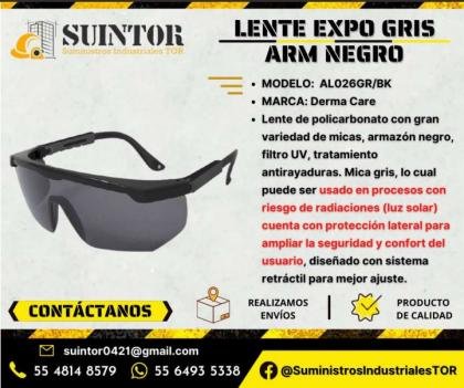 Lente Expo Gris ARM Negro de policarbonato