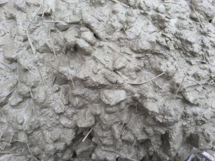 FIBRA PARA REFUERZO DE CONCRETO PREMEZCLADO Y LANZADO