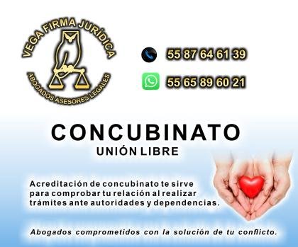 CONCUBINATO ACREDITACION ASESORIA LEGAL 55 87 64 61 39 EN CUAUTITLÁN IZCALLI