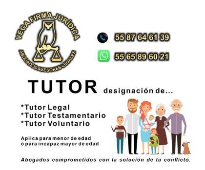 Designación de tutor asesoría legal 55 87 64 61 39