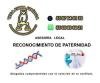 RECONOCIMIENTO DE PATERNIDAD ASESORÍA 55 87 64 61 39