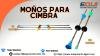 MOÑOS PARA CIMBRA      ABASOLO/COAHUILA
