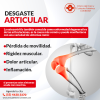 Desgaste articular