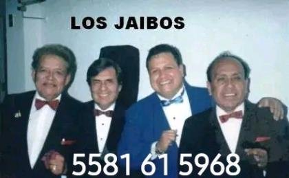 Trio cantemos boleros