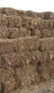 pacas de zacate de maíz toluca