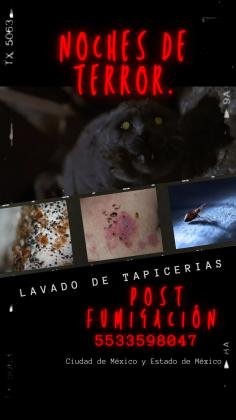 Limpieza de salas y colchones en Chalco