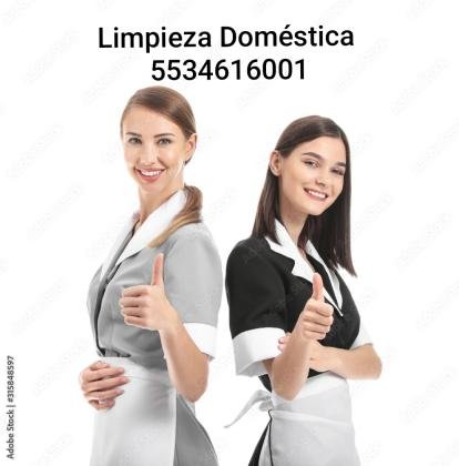 Servicios Domésticos Naucalpan