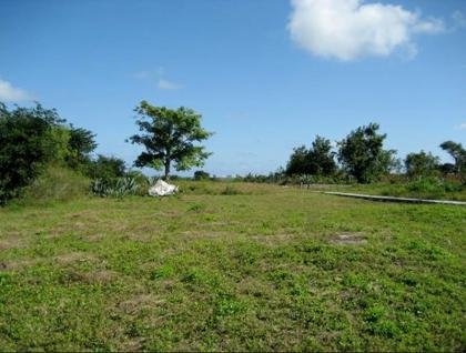 TERRENO EN CANCUN 6 HECTAREAS PARA HOTEL O DEPARTAMENTOS