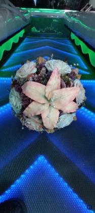 FOTO Y VIDEO PROFESIONAL SAN MARTIN TEXMELUCAN FOTO Y VIDEO