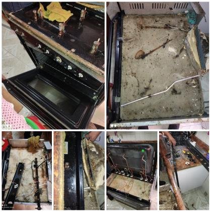 reparacion y mantenimiento