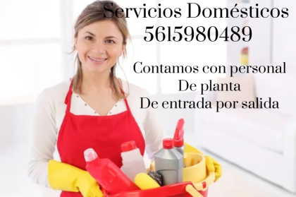 Servicios Domésticos Naucalpan